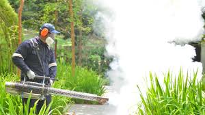 Best Pest Exclusion Services  in Delhi, LA